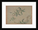 Blossom, 1851 by Tsubaki Chinzan