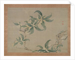 Blossom, 1851 by Tsubaki Chinzan