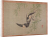 Swallows in flight, 1851 by Tsubaki Chinzan