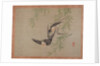 Swallows in flight, 1851 by Tsubaki Chinzan