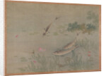 Fish, 1851 by Tsubaki Chinzan