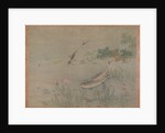 Fish, 1851 by Tsubaki Chinzan