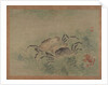 Crabs, 1851 by Tsubaki Chinzan