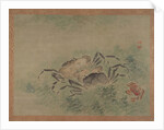 Crabs, 1851 by Tsubaki Chinzan