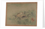 Crabs, 1851 by Tsubaki Chinzan