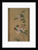 Pheasant, bullfinch, flowers and rock, c.1800 by Ariwara Baikei