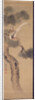 Long-tailed birds in pine tree, c.1800 by Ariwara Baikei