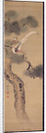 Long-tailed birds in pine tree, c.1800 by Ariwara Baikei