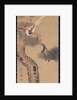 Long-tailed birds in pine tree, c.1800 by Ariwara Baikei