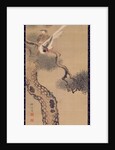Long-tailed birds in pine tree, c.1800 by Ariwara Baikei