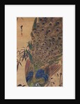Peacock and bamboo by Japanese School