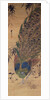 Peacock and bamboo by Japanese School