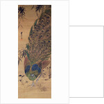 Peacock and bamboo by Japanese School