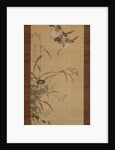 Ducks, flowers and grasses, c.1800-22 by Gentai Sanjin