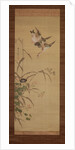 Ducks, flowers and grasses, c.1800-22 by Gentai Sanjin