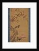Birds, flowers and trees, c.1800-22 by Gentai Sanjin