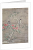 Birds and camelia in snow, c.1700 by Ogawa Haritsu