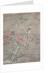 Birds and camelia in snow, c.1700 by Ogawa Haritsu