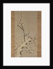 Sparrow on a tree in a snowstorm, c.1800 by Kishi Ganku