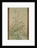 Autumn flowers and insects by a stream, 1910 by Bunrei Maekawa