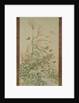 Autumn flowers and insects by a stream, 1910 by Bunrei Maekawa