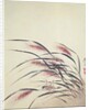Ears of rice and cricket by Shibata Zeshin
