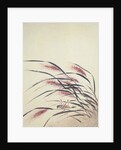 Ears of rice and cricket by Shibata Zeshin