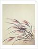 Ears of rice and cricket by Shibata Zeshin