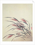 Ears of rice and cricket by Shibata Zeshin