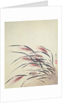 Ears of rice and cricket by Shibata Zeshin