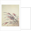 Ears of rice and cricket by Shibata Zeshin