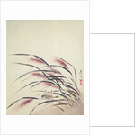 Ears of rice and cricket by Shibata Zeshin