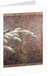 Bamboo in snow, c.1600 by Mitsuyoshi Tosa