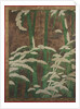 Bamboo in the snow, c.1600 by Mitsuyoshi Tosa