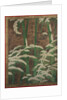 Bamboo in the snow, c.1600 by Mitsuyoshi Tosa
