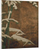 Bamboo in the snow, c.1600 by Mitsuyoshi (Kyuyoku) (1539-1613) Tosa