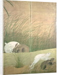 Hares and autumn grasses, c.1700 by Japanese School