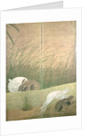 Hares and autumn grasses, c.1700 by Japanese School