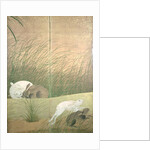 Hares and autumn grasses, c.1700 by Japanese School