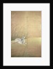 Hares and autumn grasses, c.1700 by Japanese School