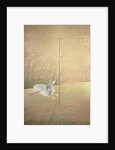 Hares and autumn grasses, c.1700 by Japanese School