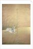 Hares and autumn grasses, c.1700 by Japanese School
