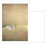 Hares and autumn grasses, c.1700 by Japanese School