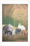 Hares and autumn grasses, c.1700 by Japanese School