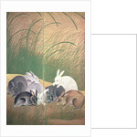 Hares and autumn grasses, c.1700 by Japanese School