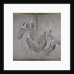 Eleven female cranes standing in dry reed bed, c.1700-50 by Ogata Korin