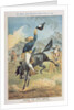 Riding the Buck Jumpers, Lord Salisbury on the Black Horse, Gladstone by Tom Merry