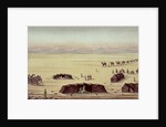 The Desert Camp of Sir Richard Burton by English School