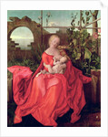 Virgin and Child 'Madonna with the Iris', 1508 by Albrecht Durer or Duerer