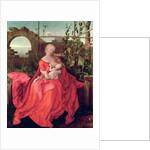 Virgin and Child 'Madonna with the Iris', 1508 by Albrecht Durer or Duerer